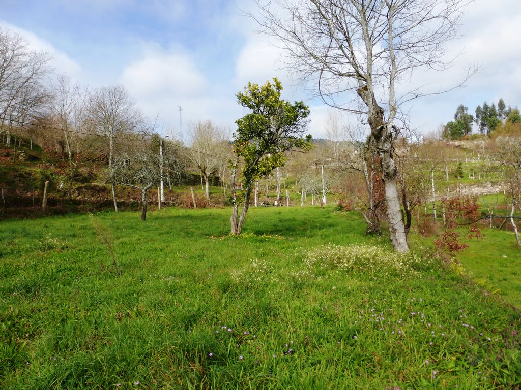 Quinta